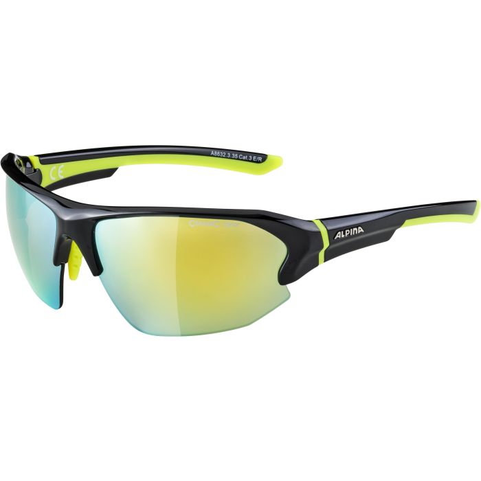Alpina LYRON HR, naočale, crna | Intersport