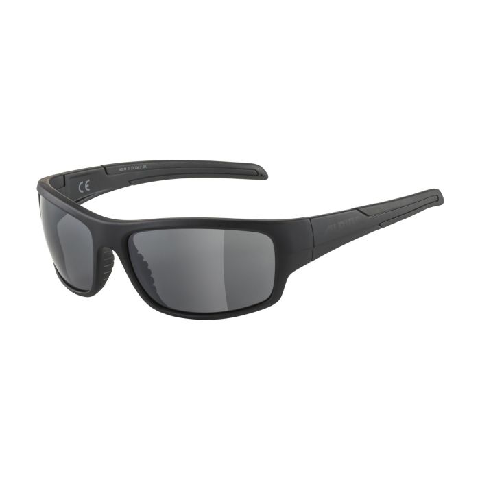 Alpina TESTIDO, sunčane naočale, crna | Intersport
